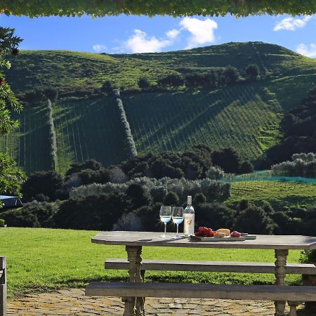 The Vineyard Cottage - Stay Waiheke Onetangi Ngoại thất bức ảnh