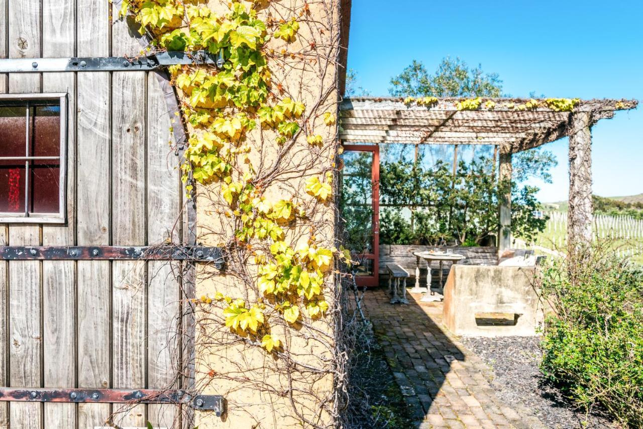 The Vineyard Cottage - Stay Waiheke Onetangi Ngoại thất bức ảnh