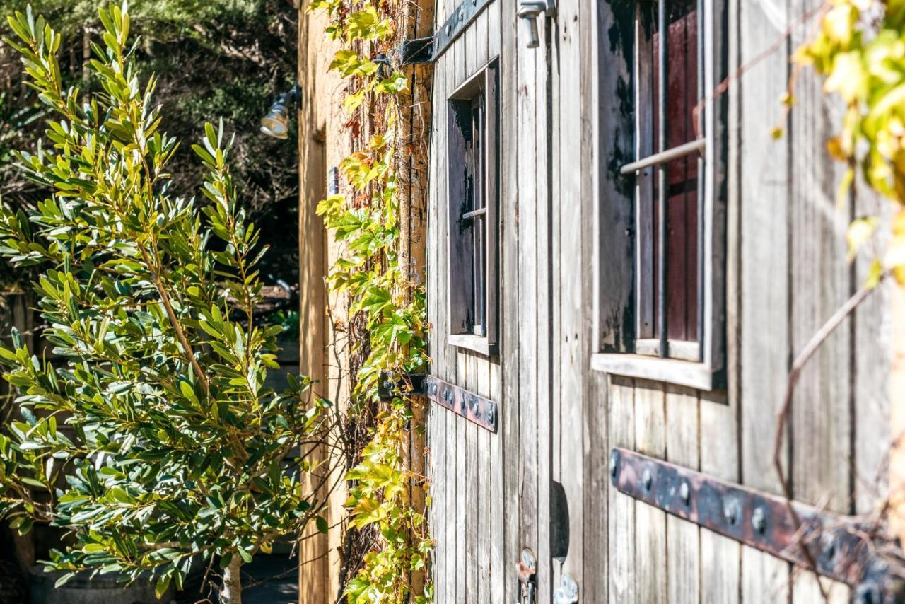 The Vineyard Cottage - Stay Waiheke Onetangi Ngoại thất bức ảnh