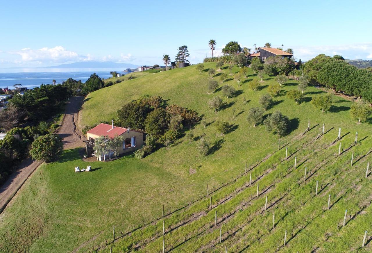 The Vineyard Cottage - Stay Waiheke Onetangi Ngoại thất bức ảnh